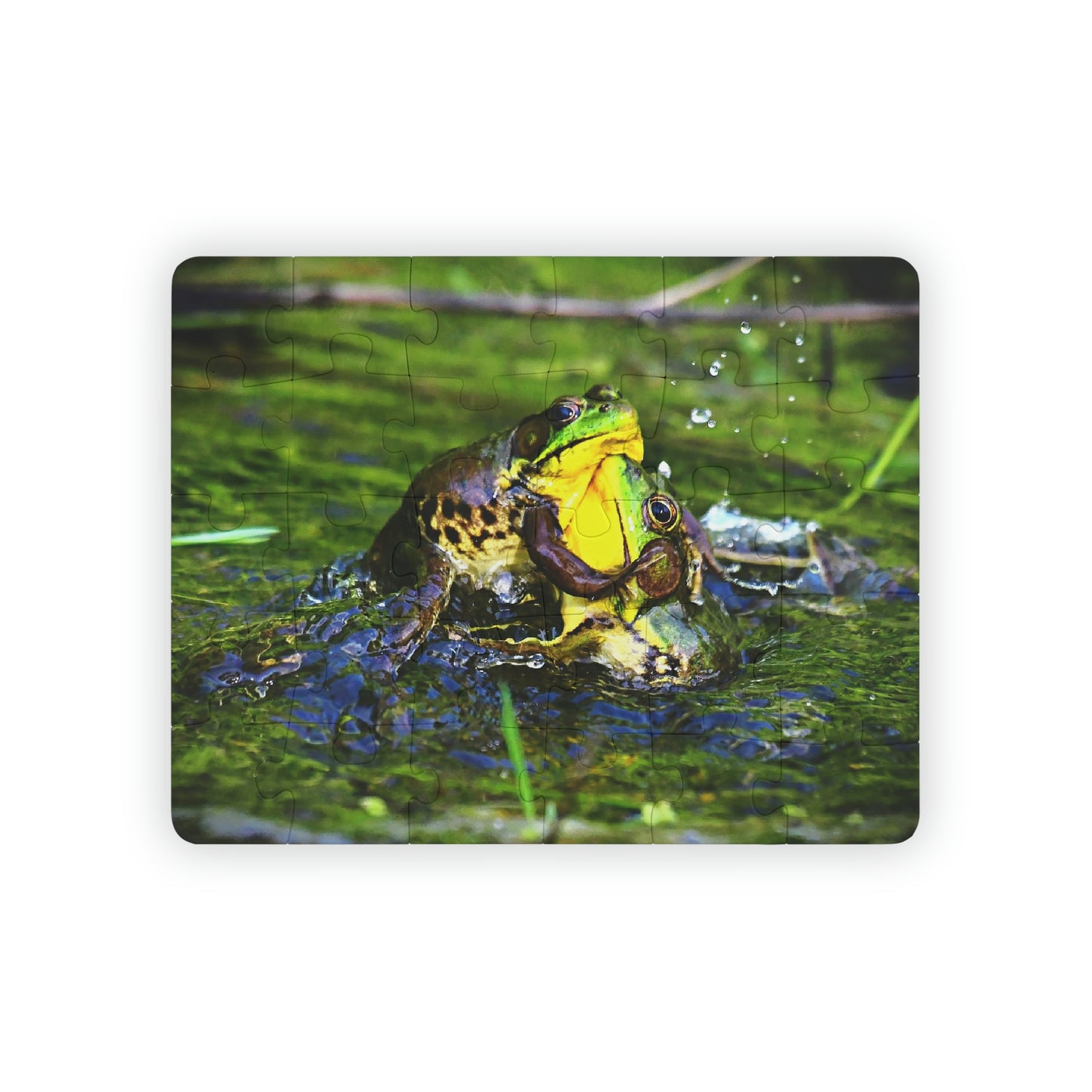 FROGS (KIDS PUZZLE)