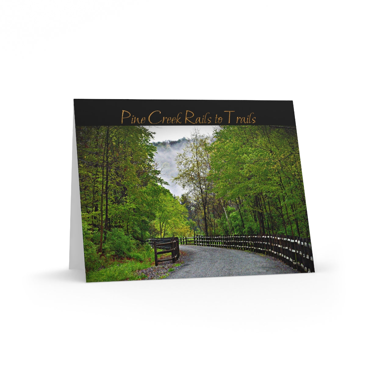 PINE CREEK RAILS TO TRAILS