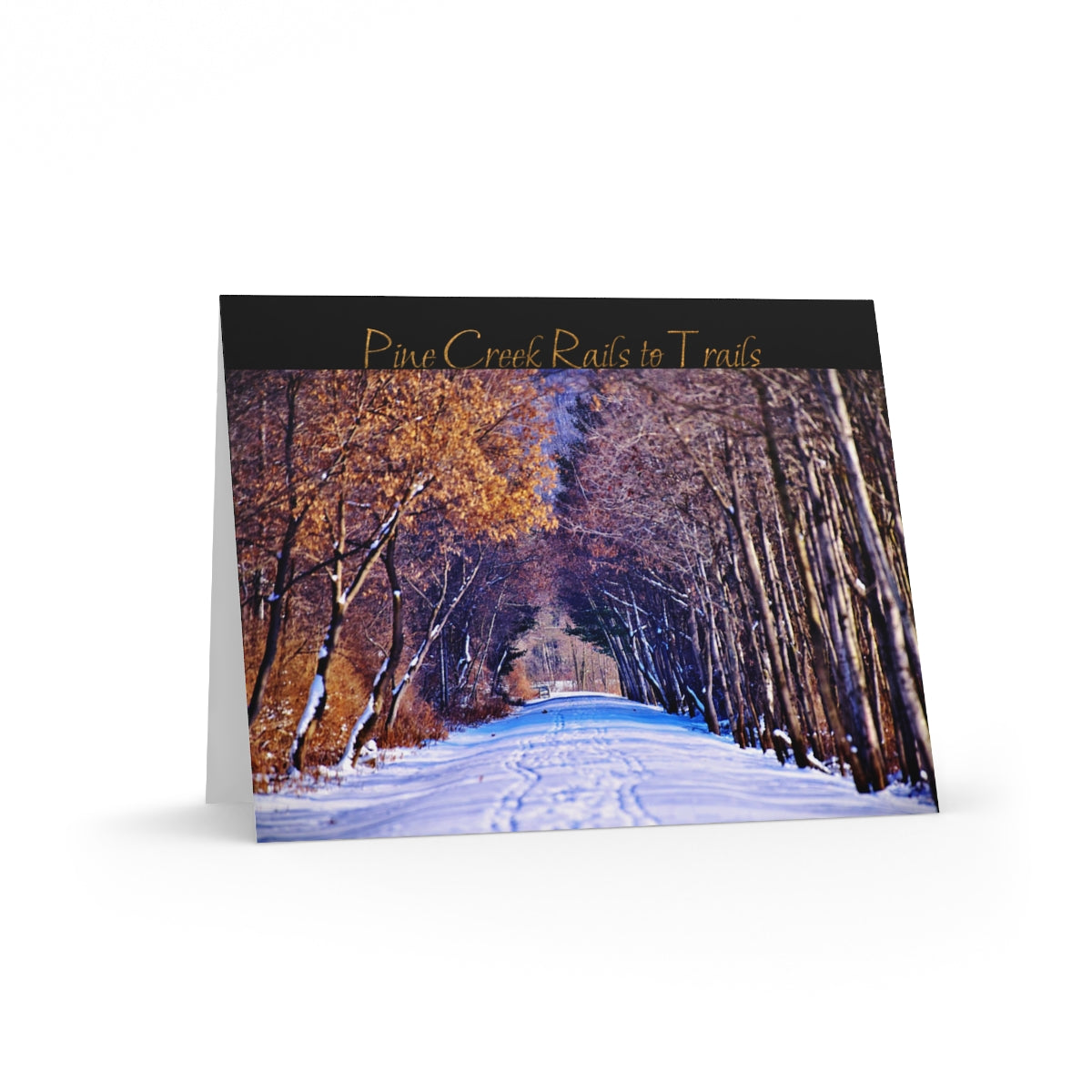 PINE CREEK RAILS TO TRAILS