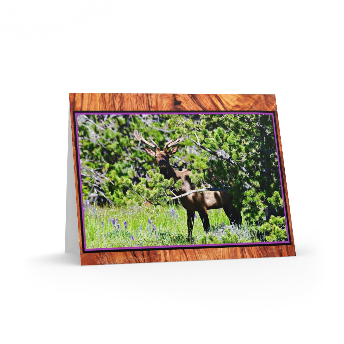 WYO. ELK