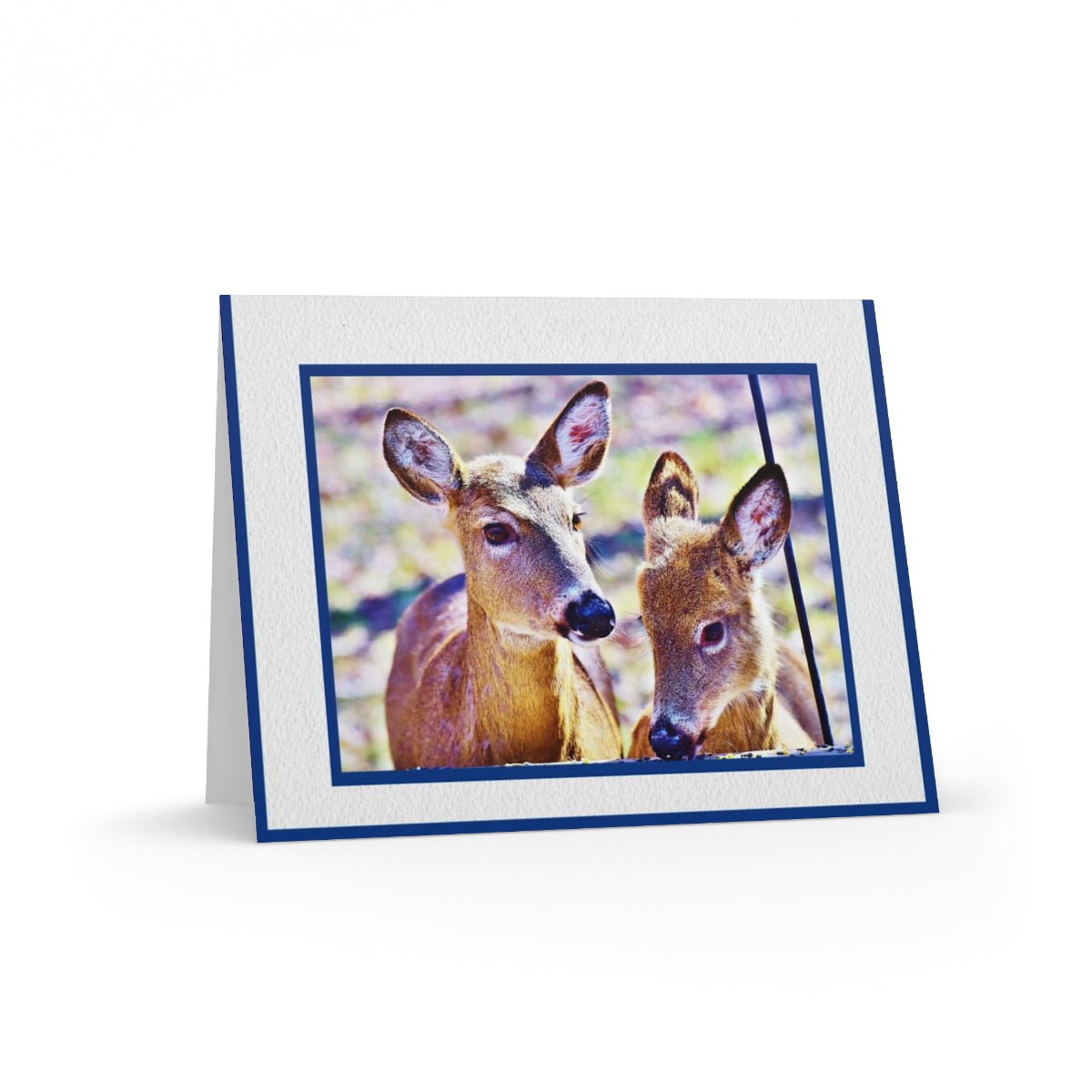 DOE & FAWN
