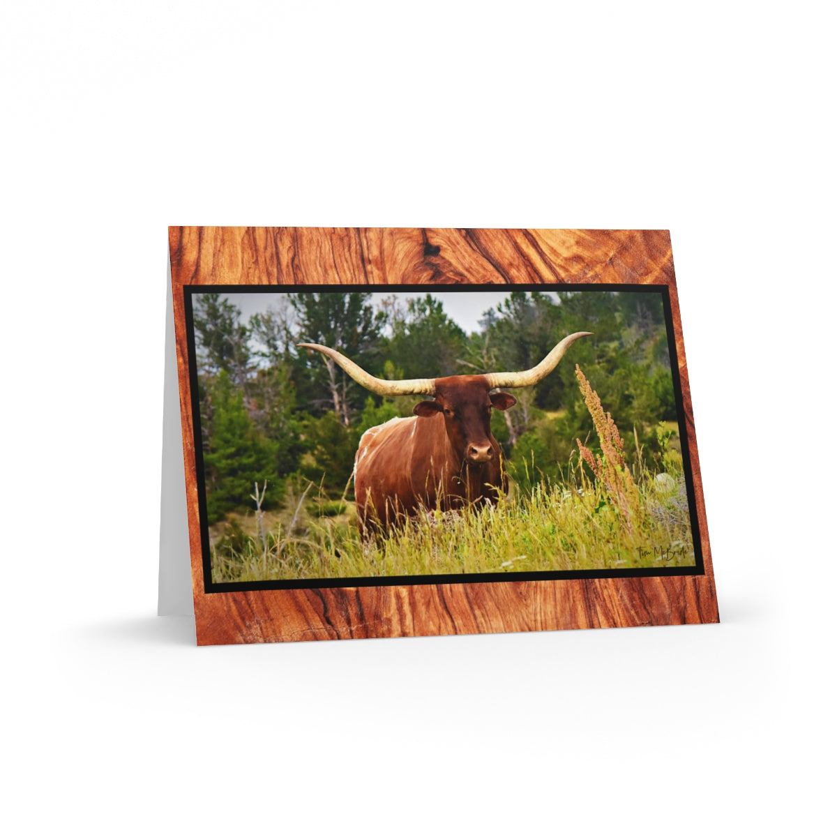 WYO. LONGHORN