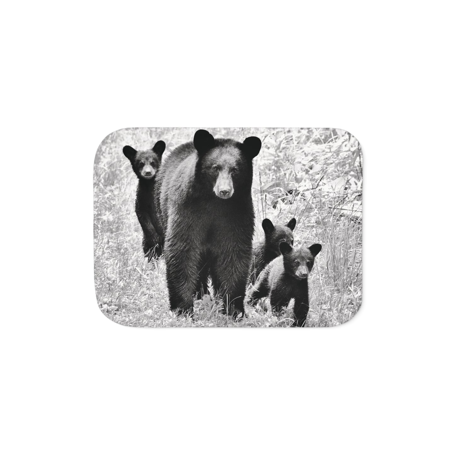 MAMA BEAR & CUBS