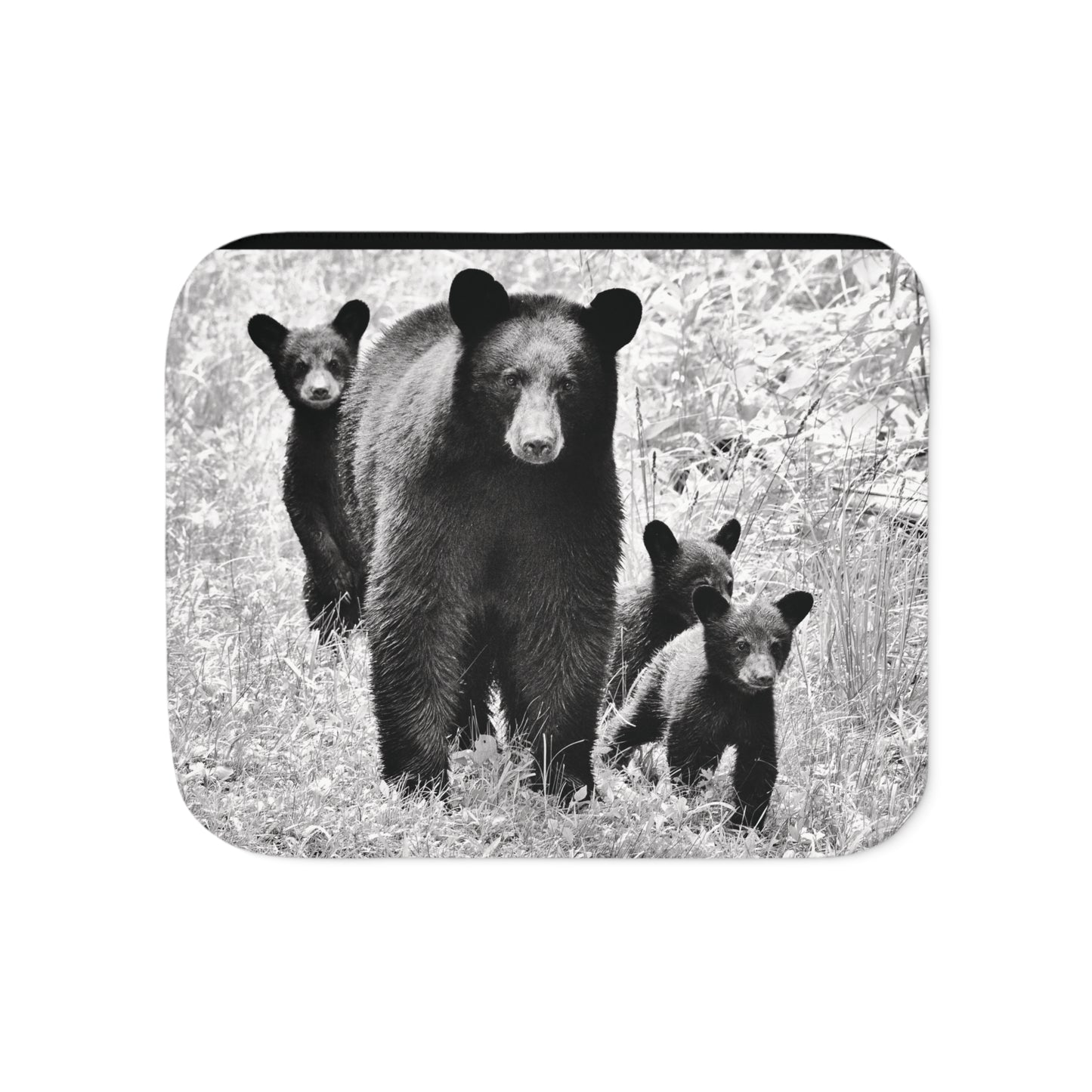 MAMA BEAR & CUBS