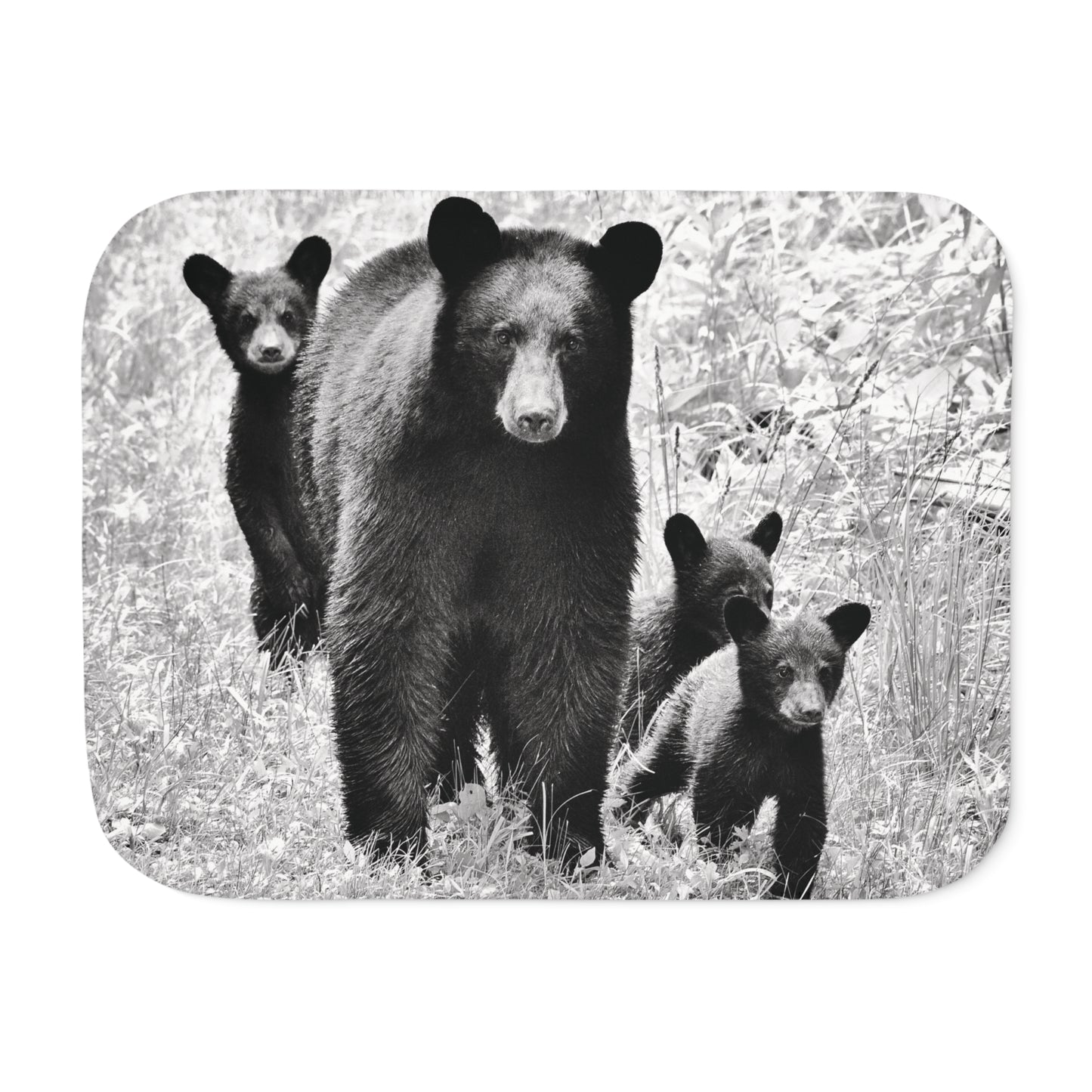 MAMA BEAR & CUBS