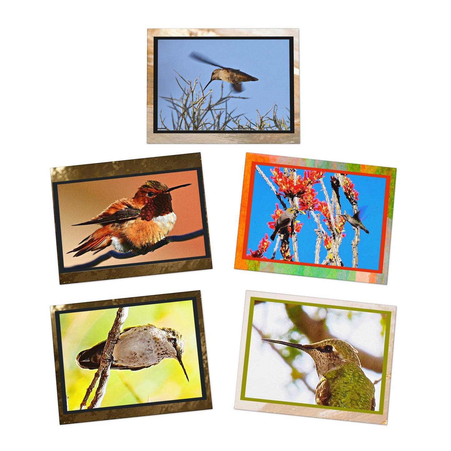 HUMMINGBIRD GREETINGS (5-Pack)