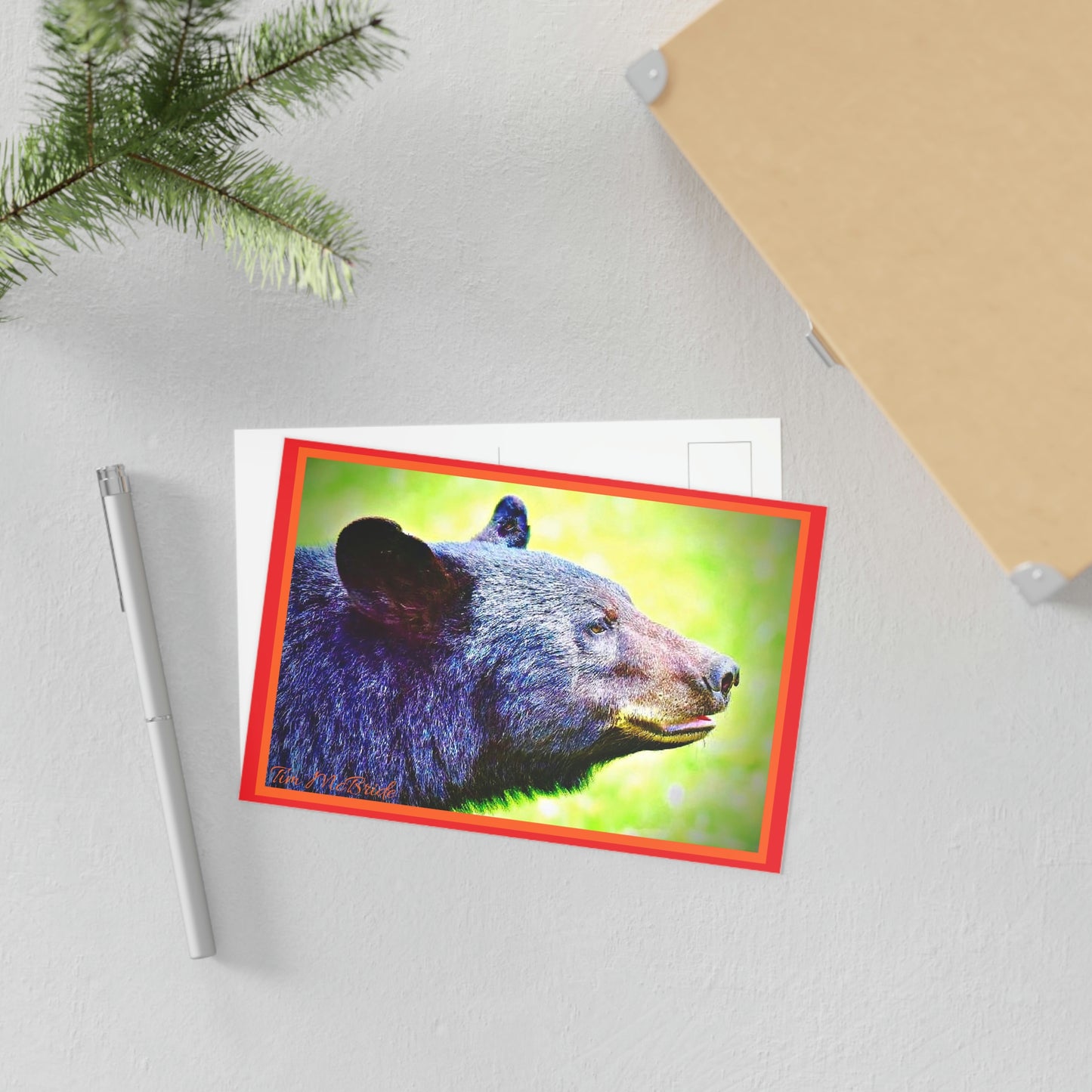 BEAR Postcards