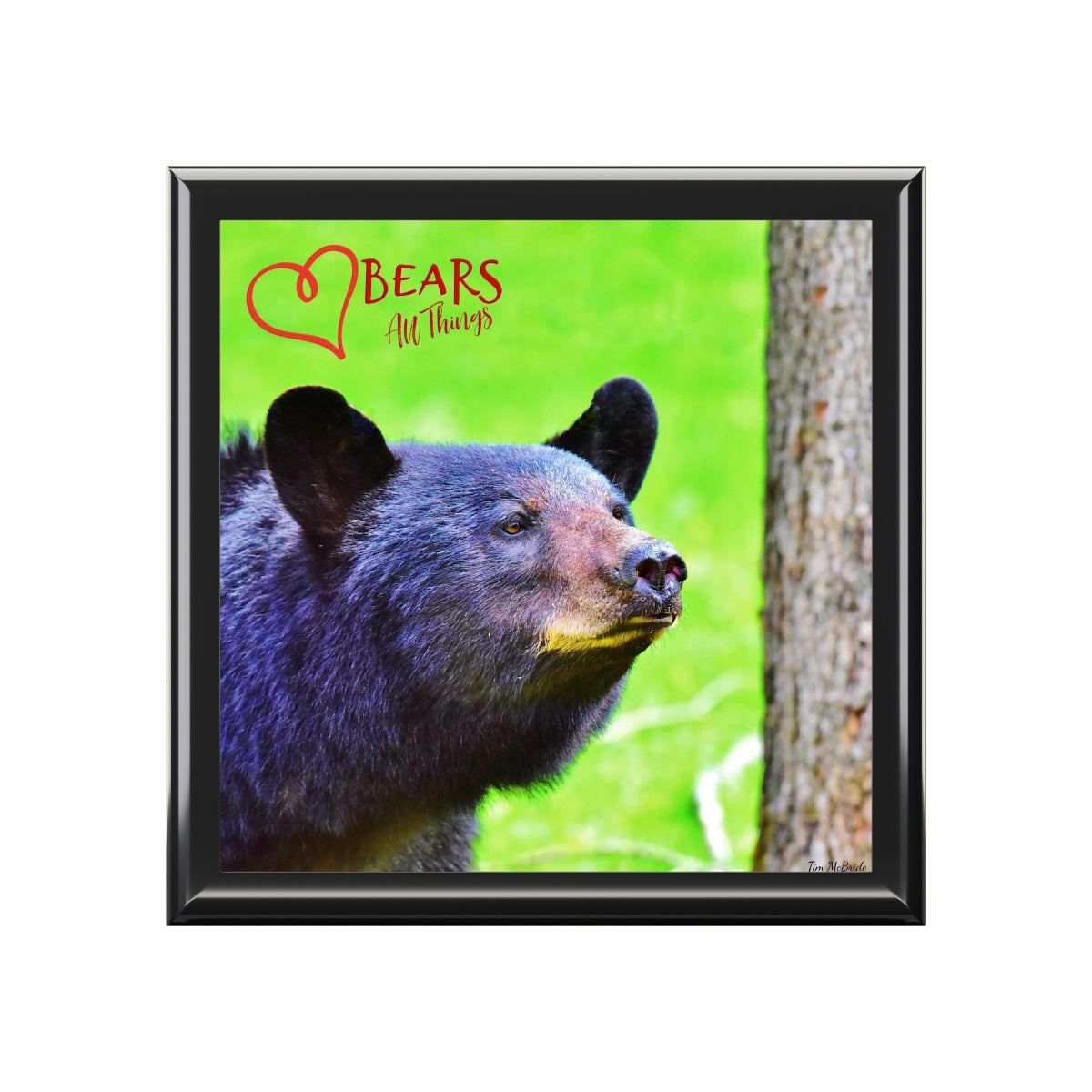 LOVE BEARS ALL THINGS TwistedArtz love-bears-all-things-twistedartz