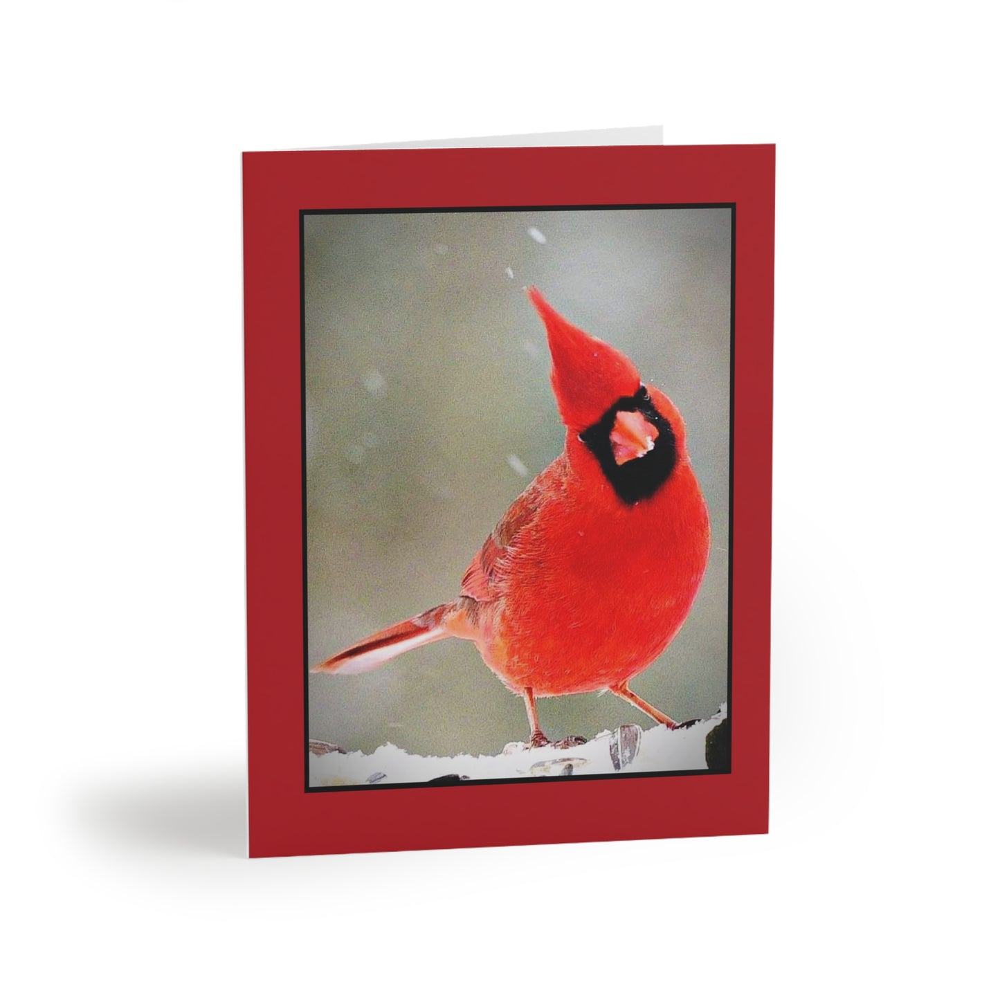 MALE RED CARDINAL