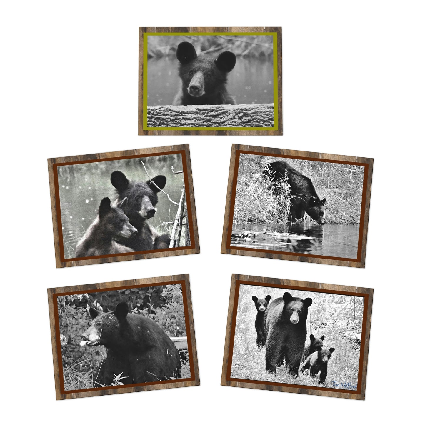 BLACK BEAR GREETINGS (5-Pack)