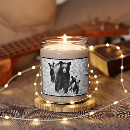 MAMA BEAR & 3 - Candle, 9oz