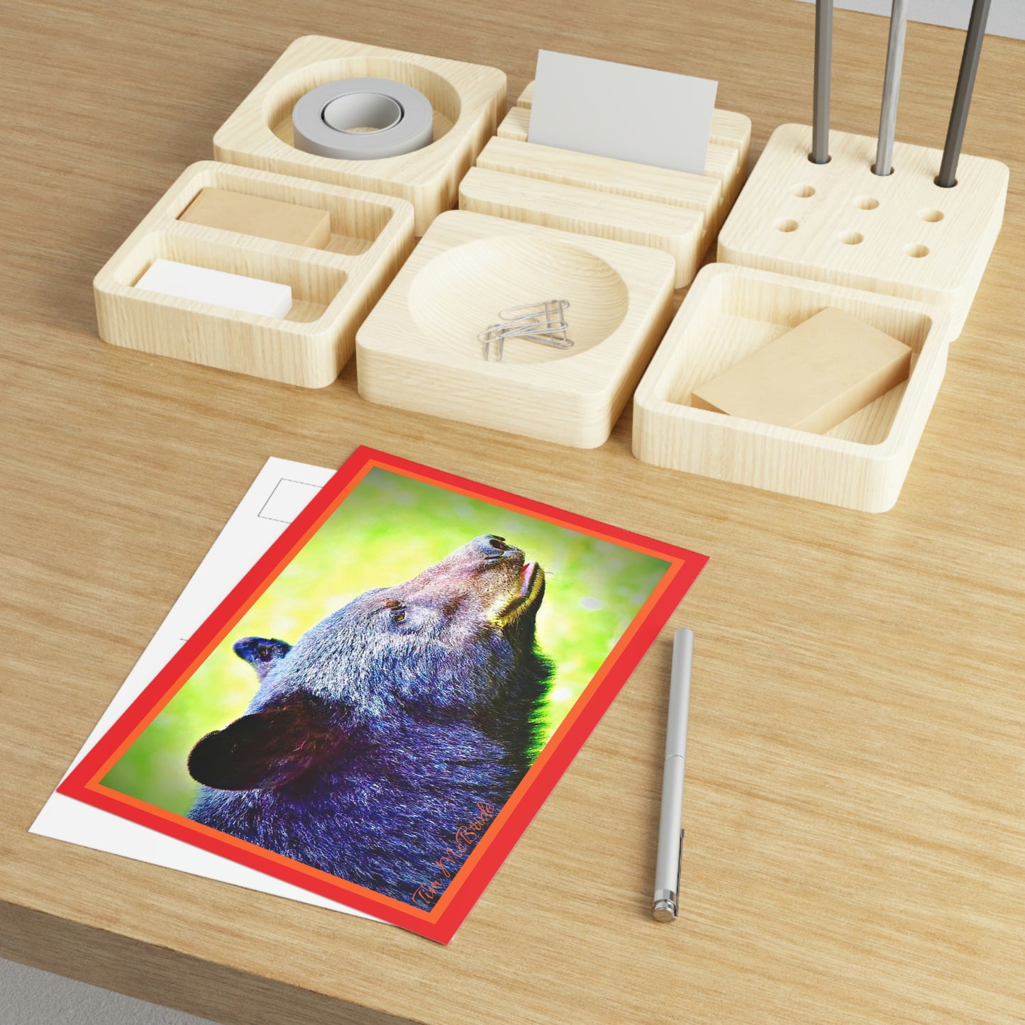 BEAR Postcards