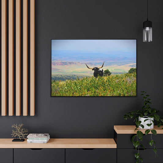 WYO. LONGHORN Gallery Canvas