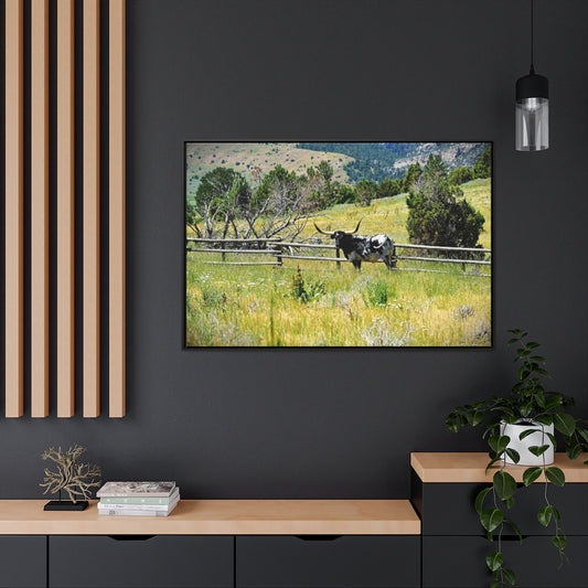 WYO. LONGHORN Gallery Canvas