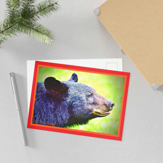 BEAR Postcards